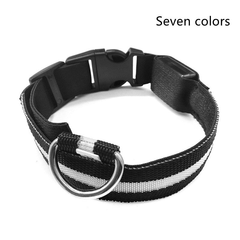 LED Light-Up Dog Collar for Night Safety
