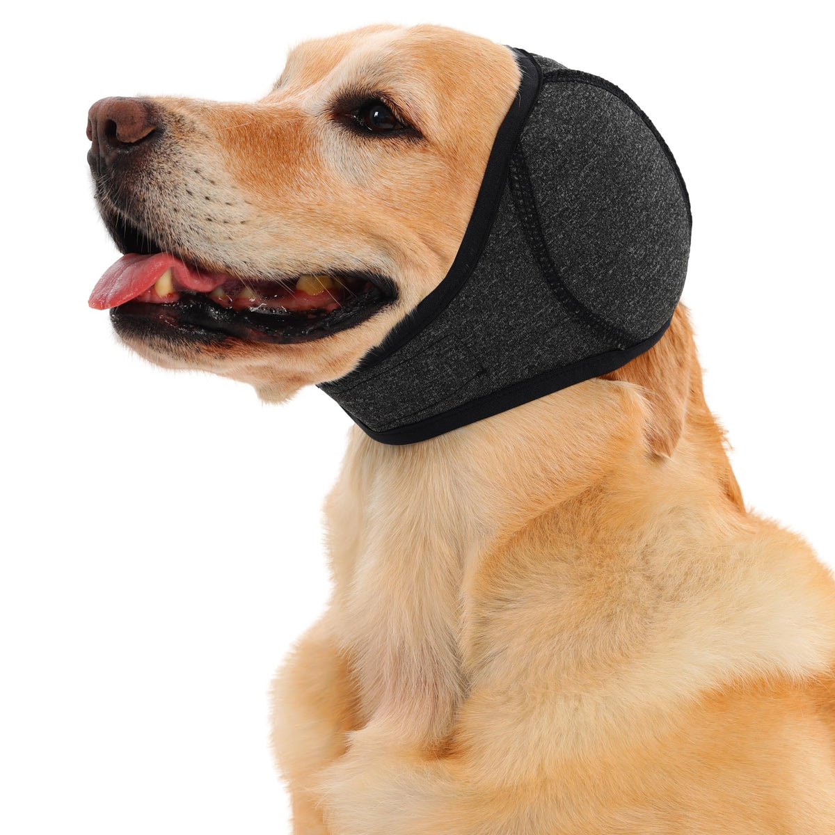 Calming Dog Ear Wrap for Anxiety & Thunder
