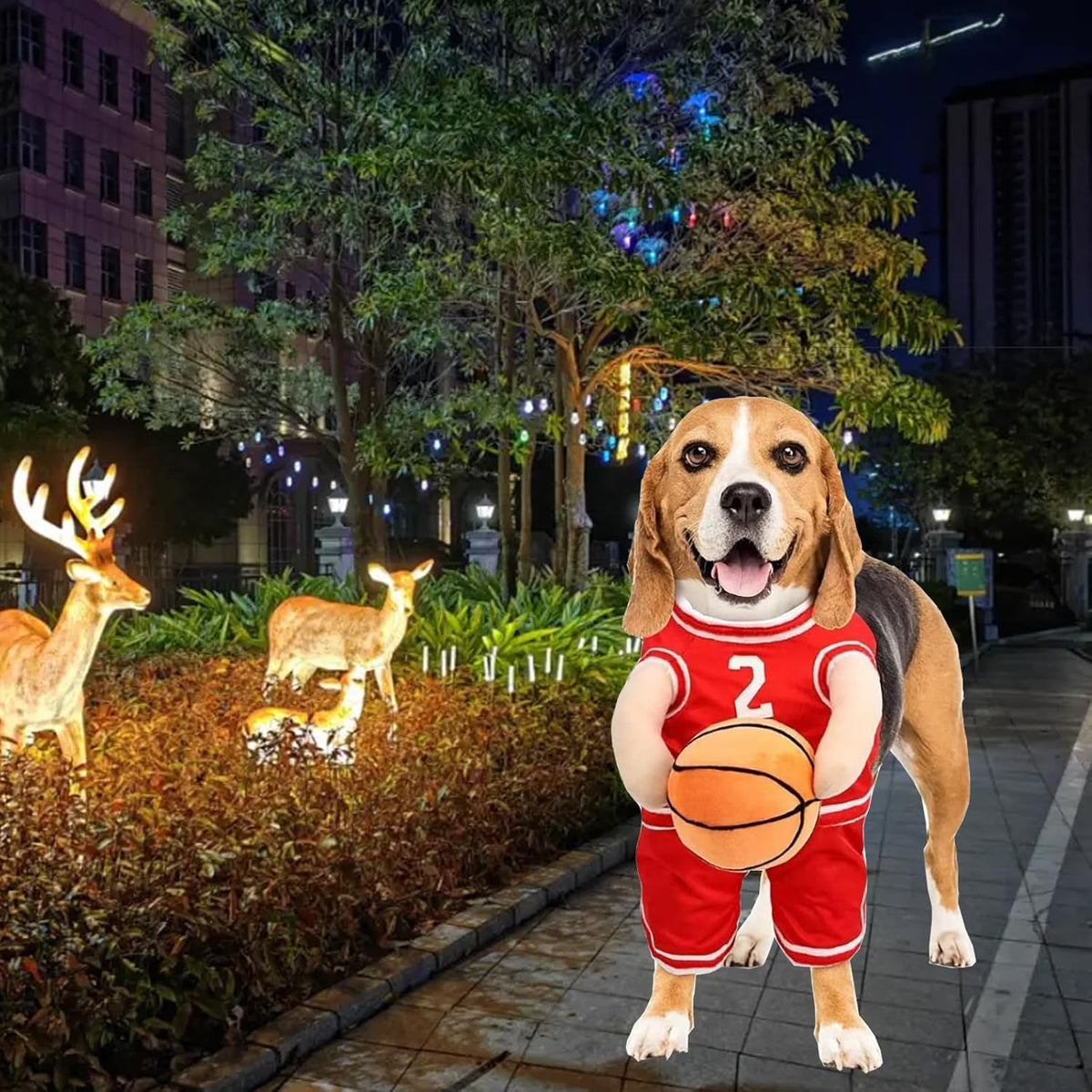 Basketball Player Costume for Dogs – Padded Arms and Ball