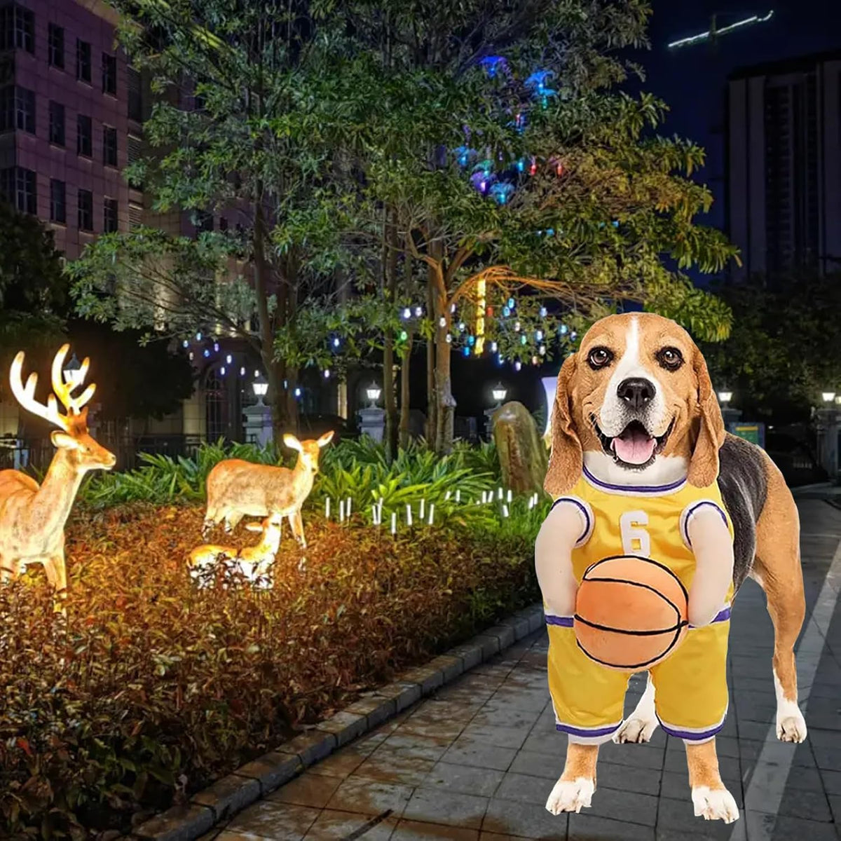 Basketball Player Costume for Dogs – Padded Arms and Ball