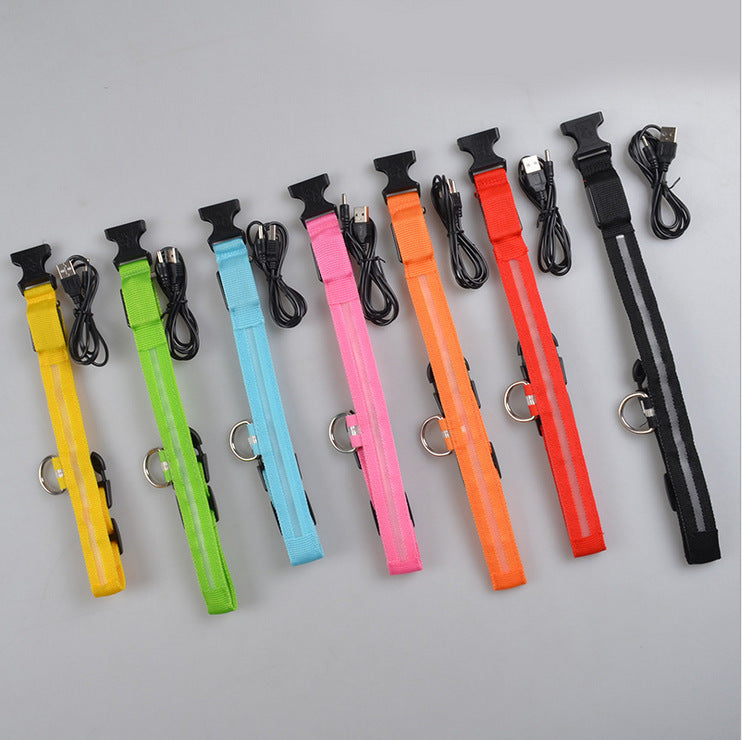 LED Light-Up Dog Collar for Night Safety