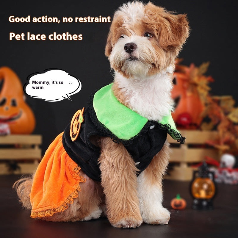 Halloween Pumpkin Dress or Sweater for Dogs – Velvet