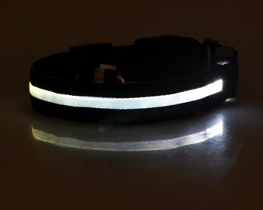 LED Light-Up Dog Collar for Night Safety