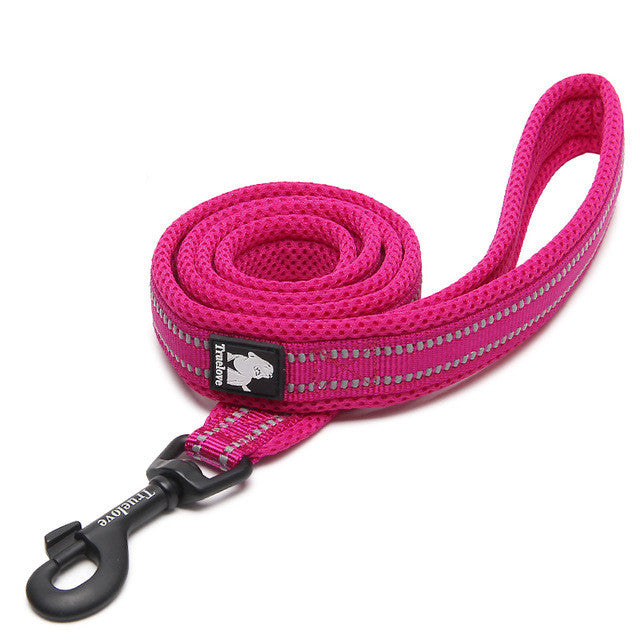 Classic Dog Leash – Everyday Walking Lead