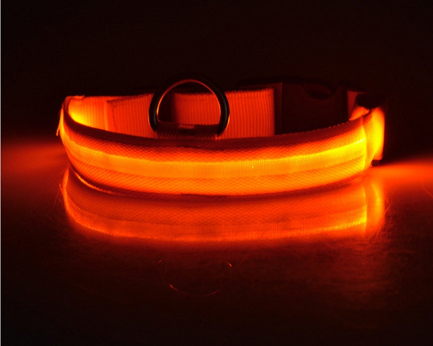 LED Light-Up Dog Collar for Night Safety