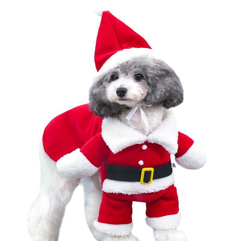 Standing Santa Dog Costume – Christmas Suit with Hat