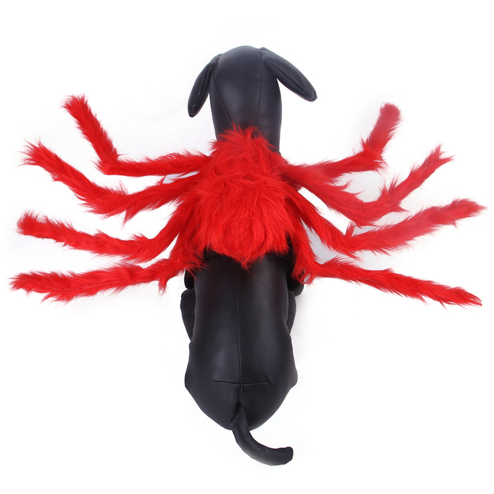 Creative Spider Halloween Costume for Cats & Dogs