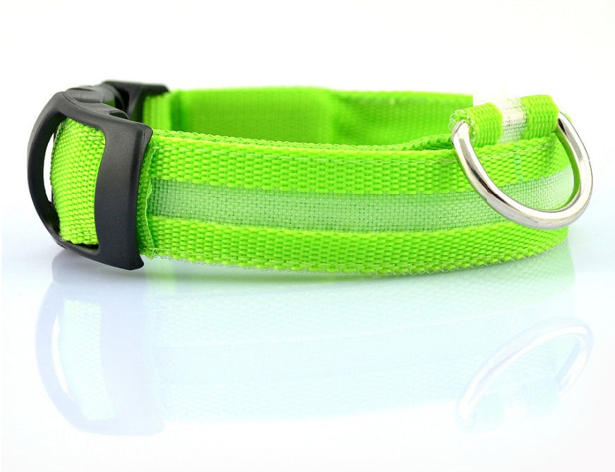 LED Light-Up Dog Collar for Night Safety
