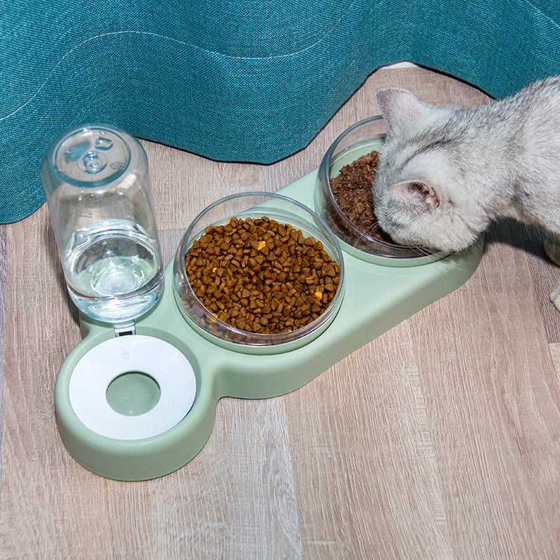 Raised Double Pet Bowl with Water Fountain