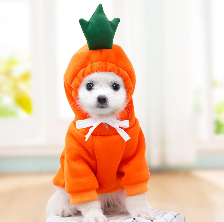 Cute Fruit Hoodie for Small Dogs & Cats