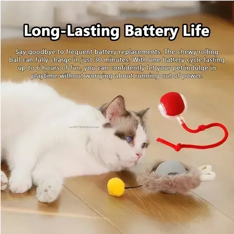 Smart Interactive Ball for Cats & Dogs (Rechargeable)