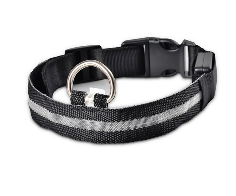 LED Light-Up Dog Collar for Night Safety