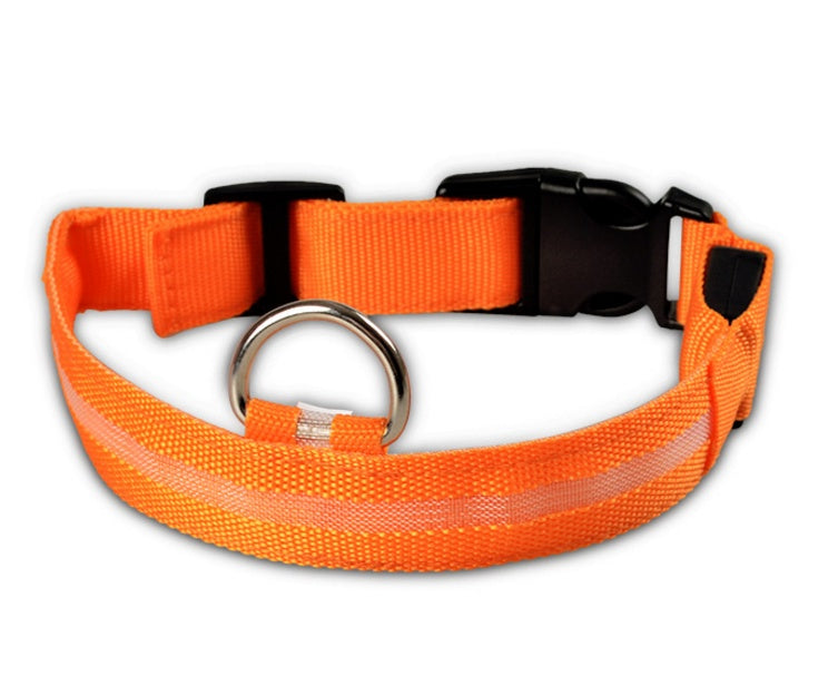 LED Light-Up Dog Collar for Night Safety