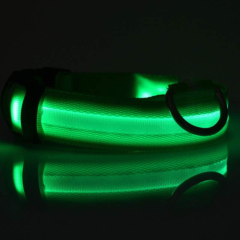 LED Light-Up Dog Collar for Night Safety