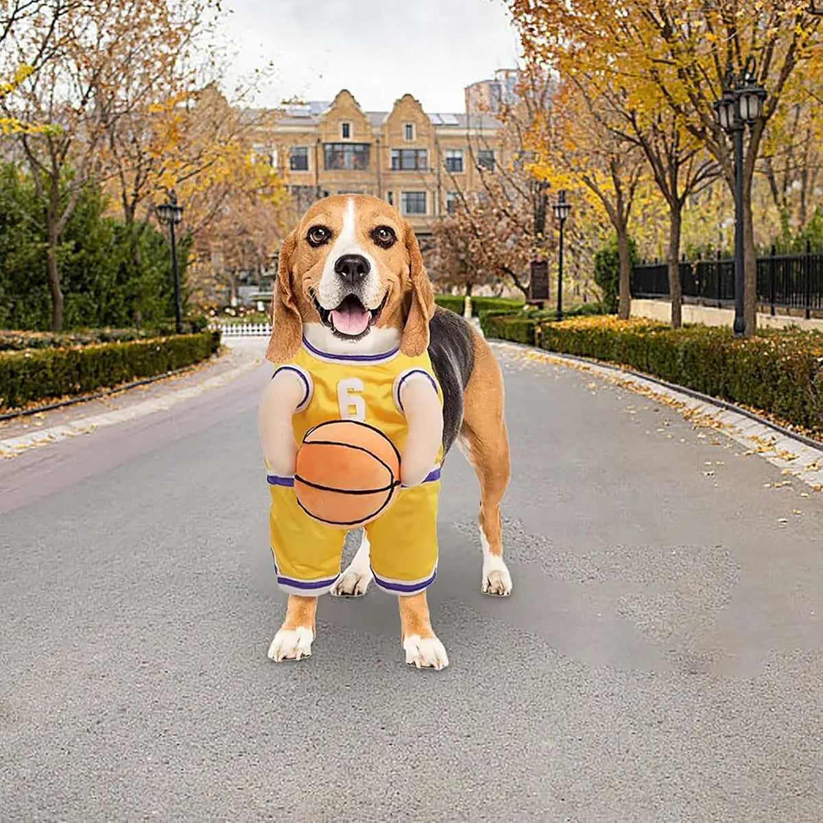 Basketball Player Costume for Dogs – Padded Arms and Ball