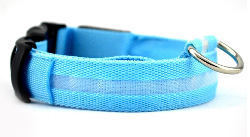 LED Light-Up Dog Collar for Night Safety