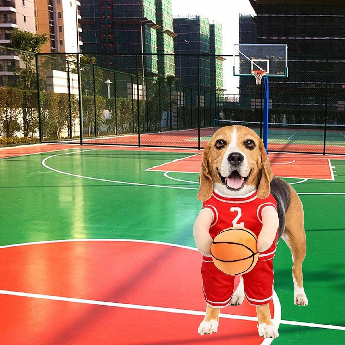 Basketball Player Costume for Dogs – Padded Arms and Ball