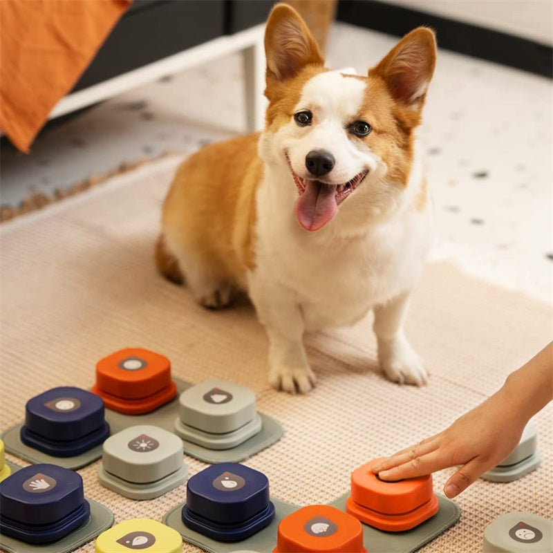 Talking Pet Button – Recordable Training Toy