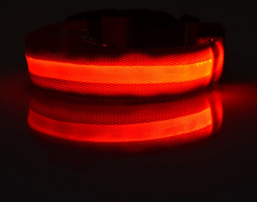 LED Light-Up Dog Collar for Night Safety