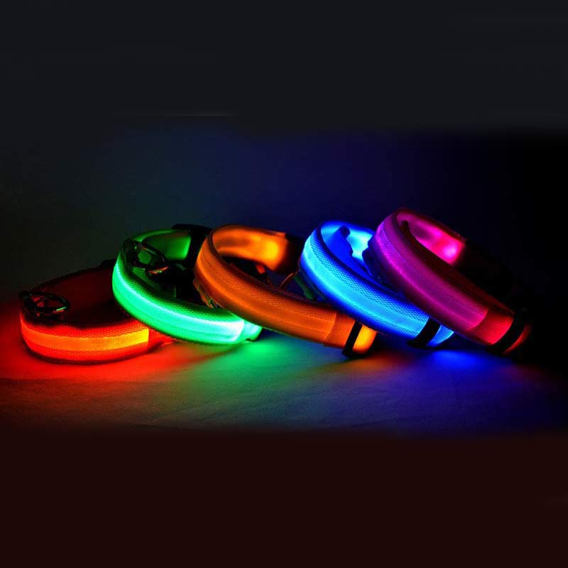 LED Light-Up Dog Collar for Night Safety