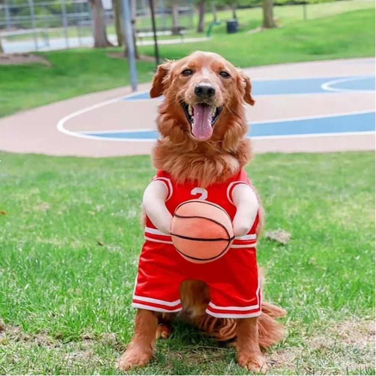 Basketball Player Costume for Dogs – Padded Arms and Ball