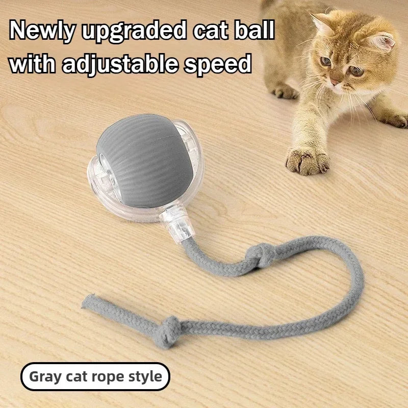 Smart Interactive Ball for Cats & Dogs (Rechargeable)