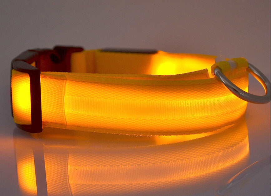 LED Light-Up Dog Collar for Night Safety