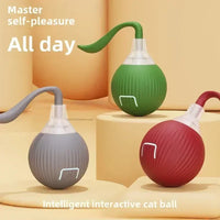 Smart Interactive Ball for Cats & Dogs (Rechargeable)