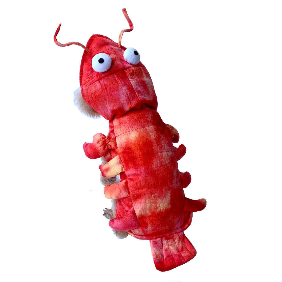Lobster Pet Costume – Halloween Outfit for Cats & Dogs