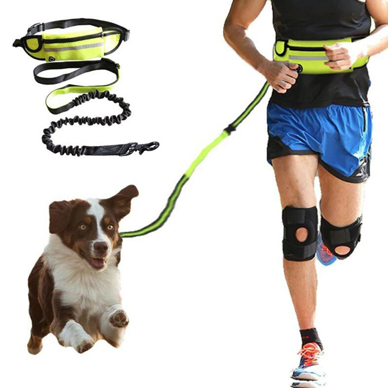 Hands-Free Dog Leash Belt with Bungee