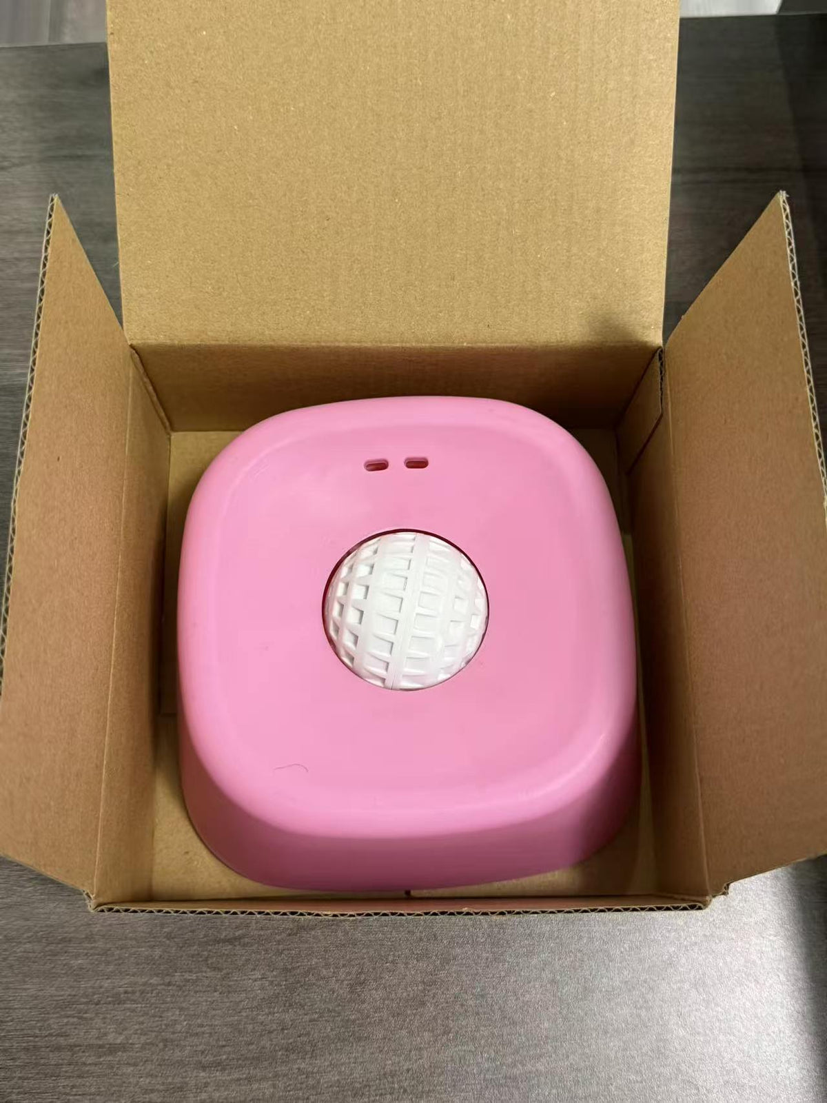 Non-Slip Slow-Feeding Dog Bowl