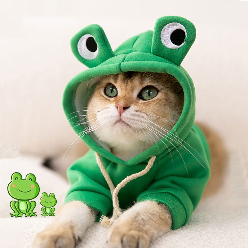 Halloween Hoodie for Puppies & Cats
