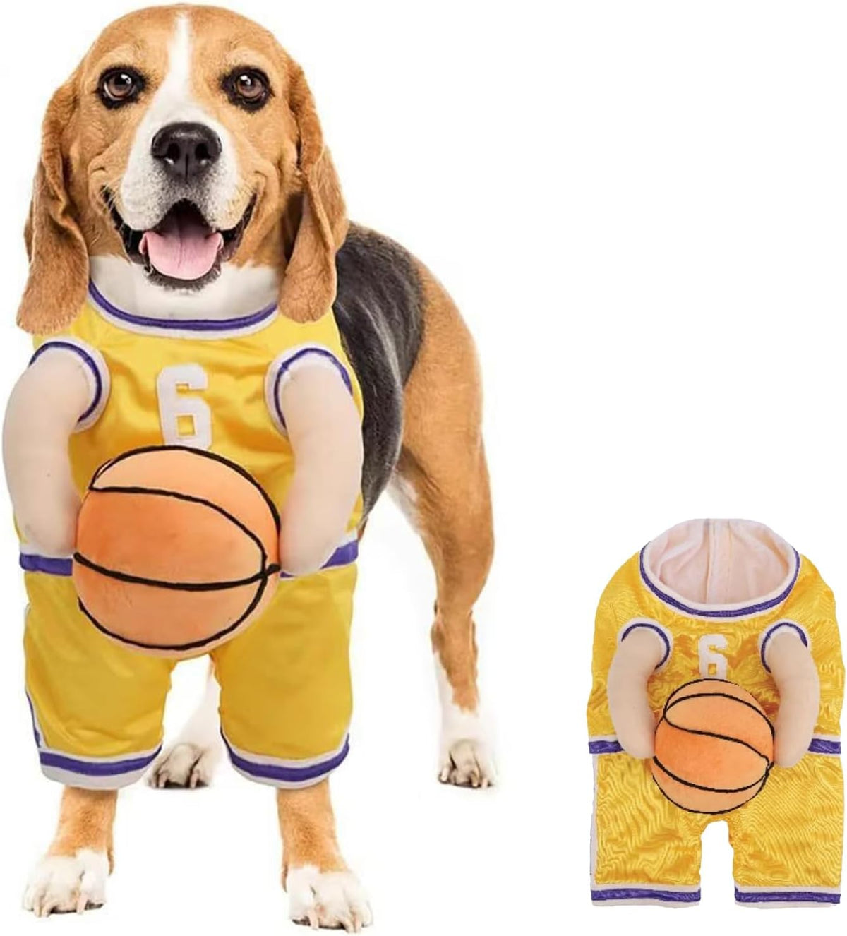 Basketball Player Costume for Dogs – Padded Arms and Ball