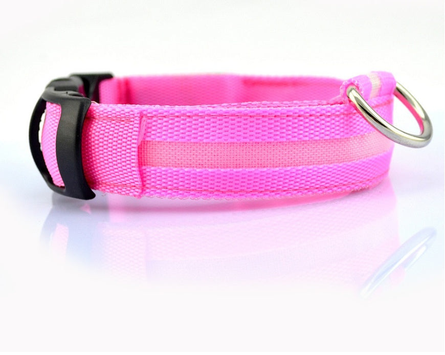 LED Light-Up Dog Collar for Night Safety