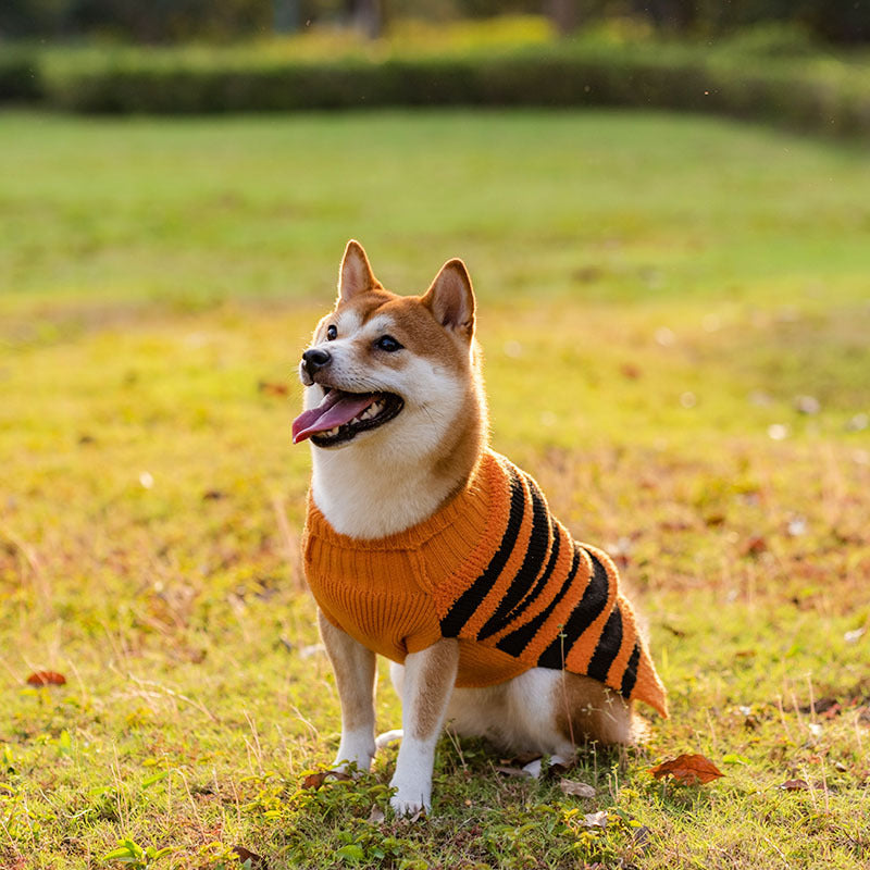 Halloween Dog Sweater – Warm Costume Knit