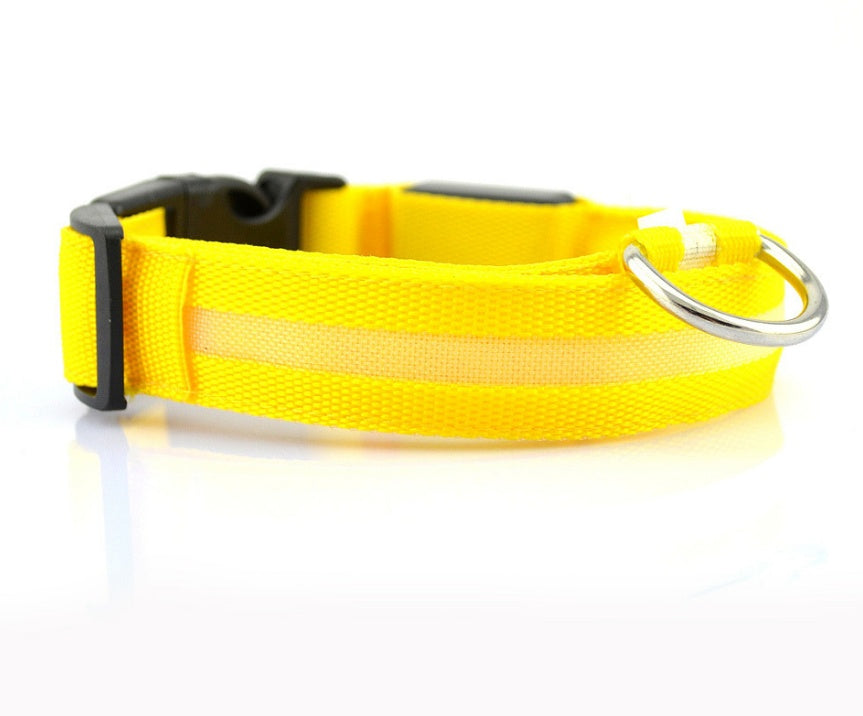 LED Light-Up Dog Collar for Night Safety
