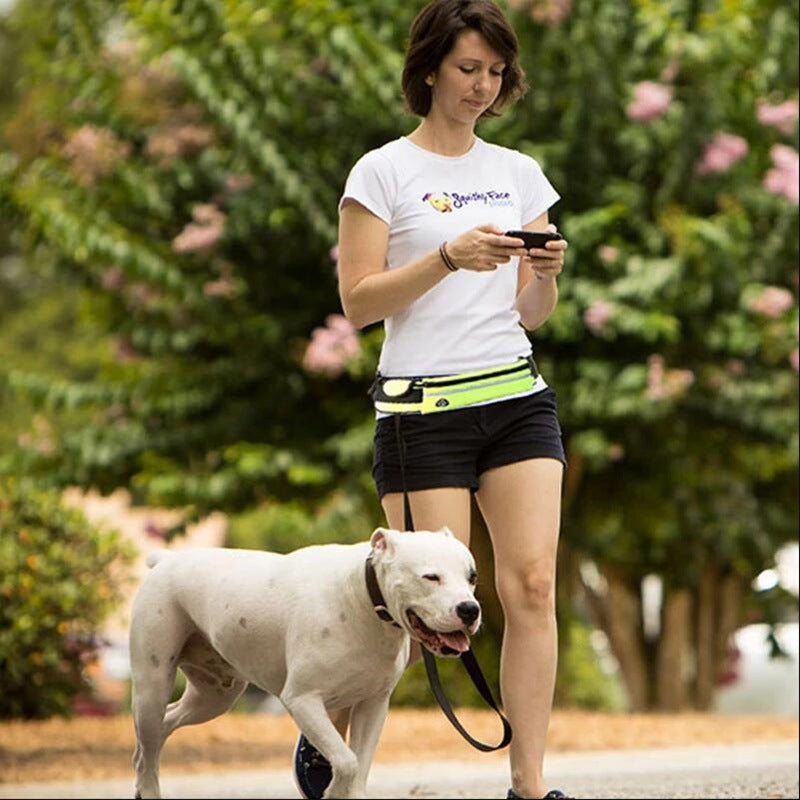 Hands-Free Dog Leash Belt with Bungee