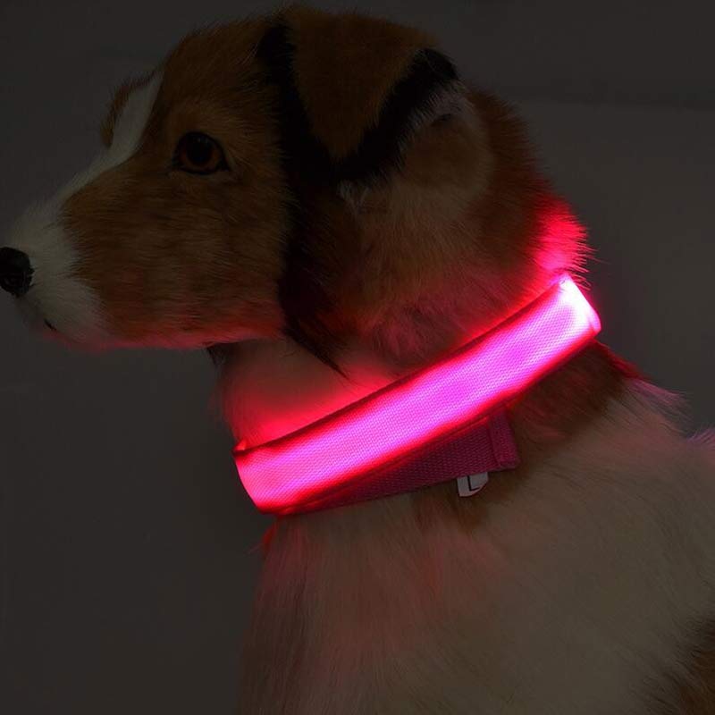 LED Light-Up Dog Collar for Night Safety
