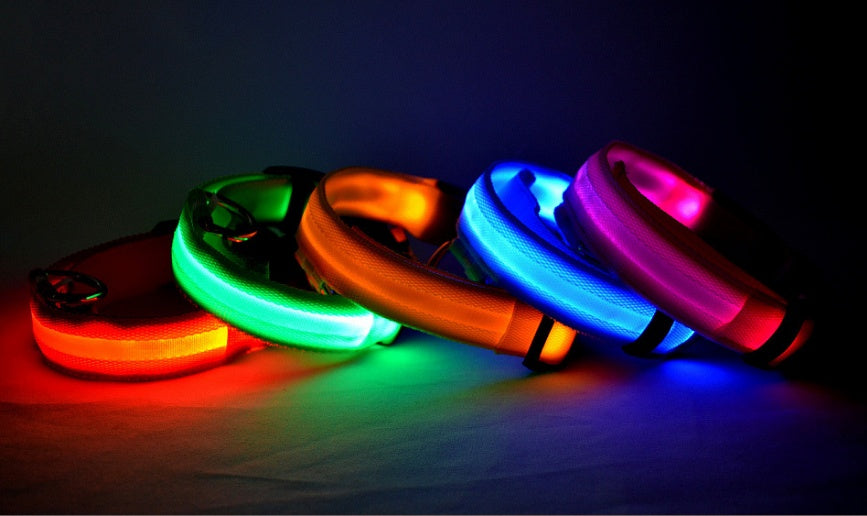 LED Light-Up Dog Collar for Night Safety