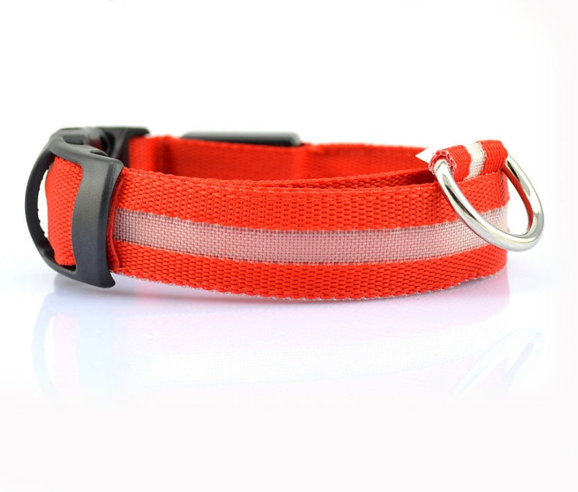 LED Light-Up Dog Collar for Night Safety