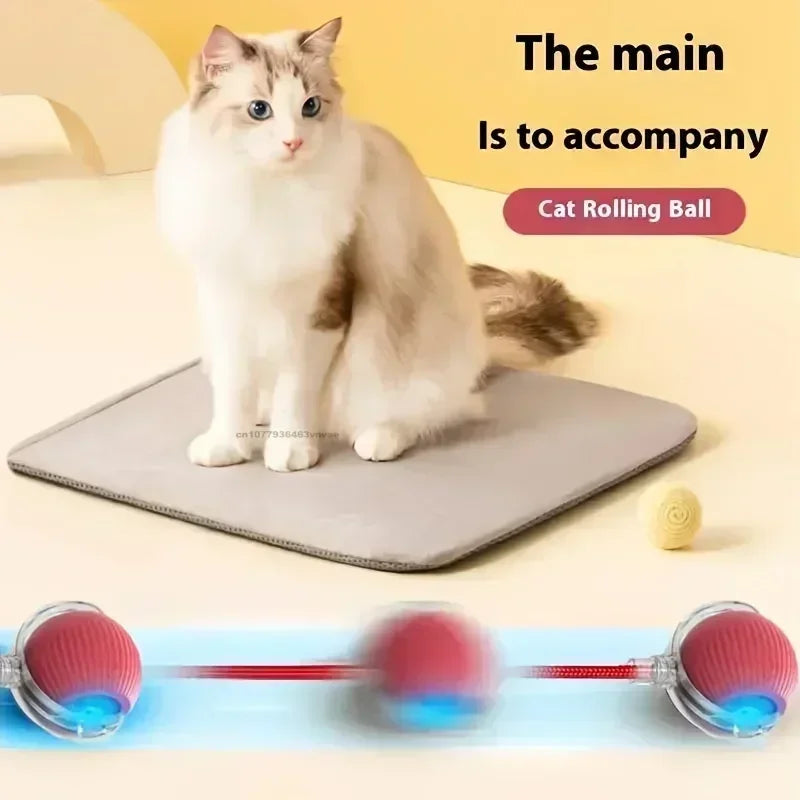 Smart Interactive Ball for Cats & Dogs (Rechargeable)