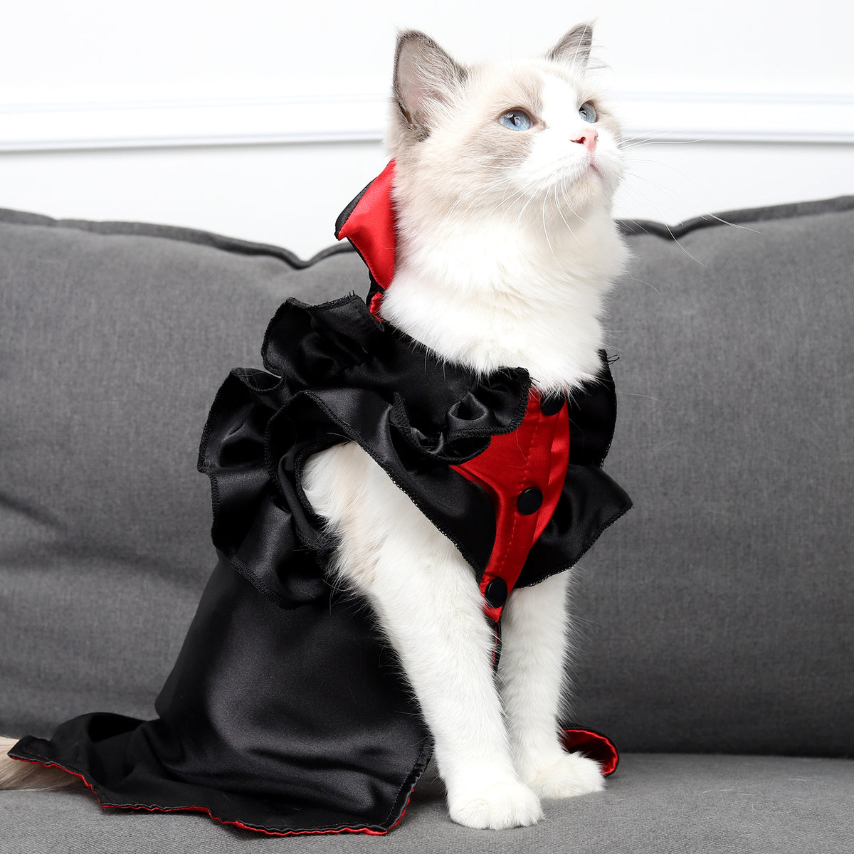 Vampire Cat Costume – Halloween Cape for Cats & Small Dogs