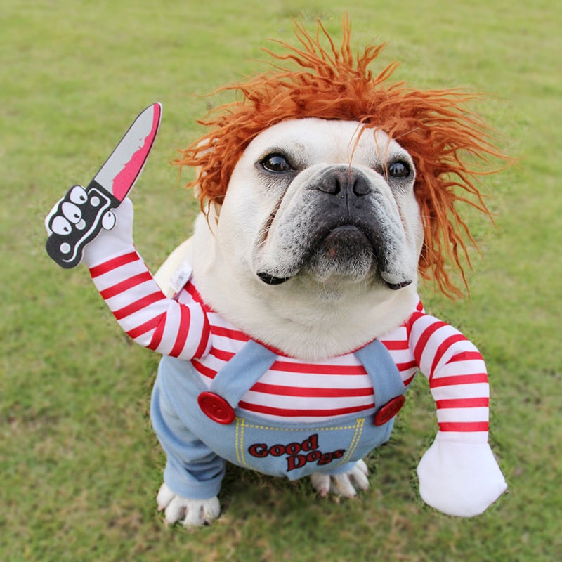 Halloween Riding Costume for Dogs – Horseman or Scary Doll