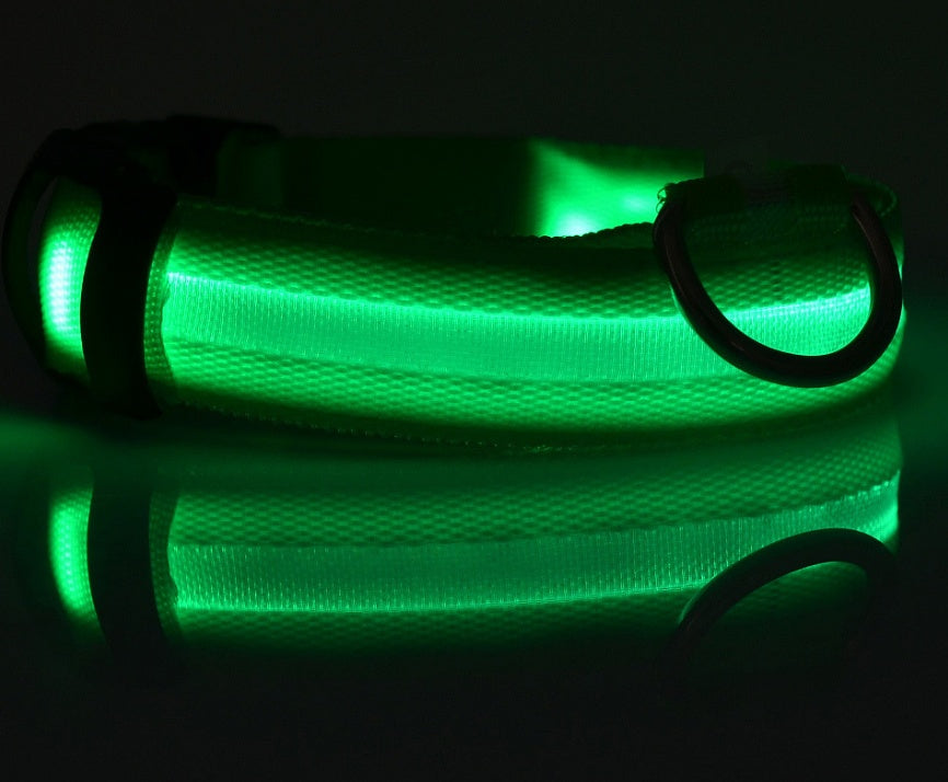 LED Light-Up Dog Collar for Night Safety