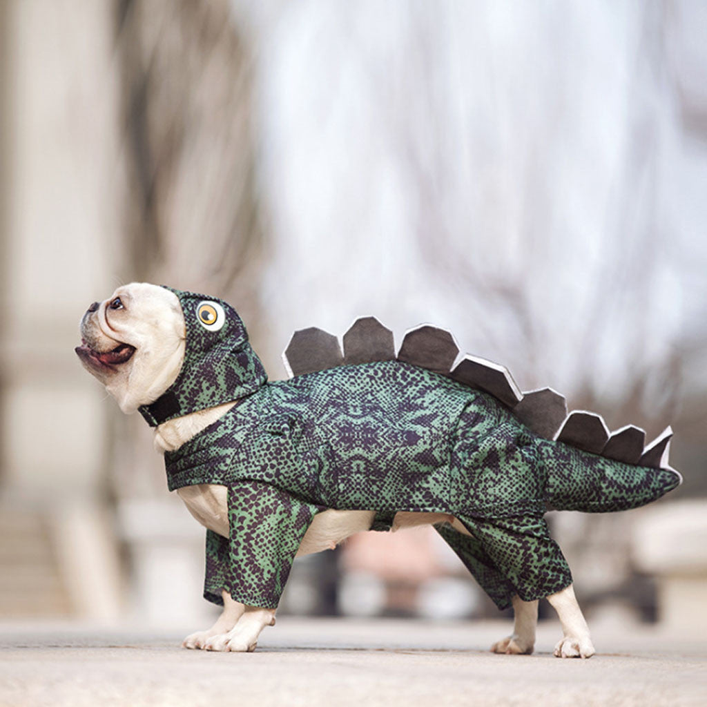 Dino Pet Costume for Dogs & Cats
