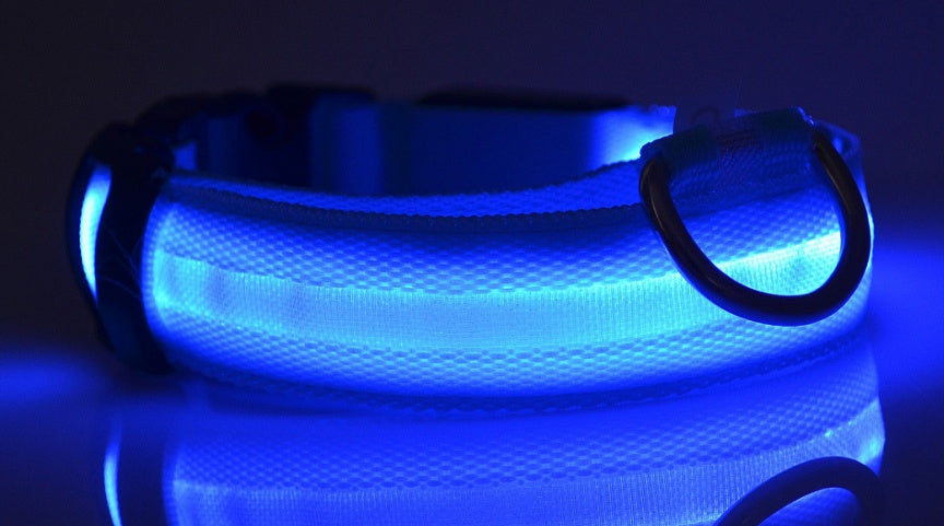 LED Light-Up Dog Collar for Night Safety