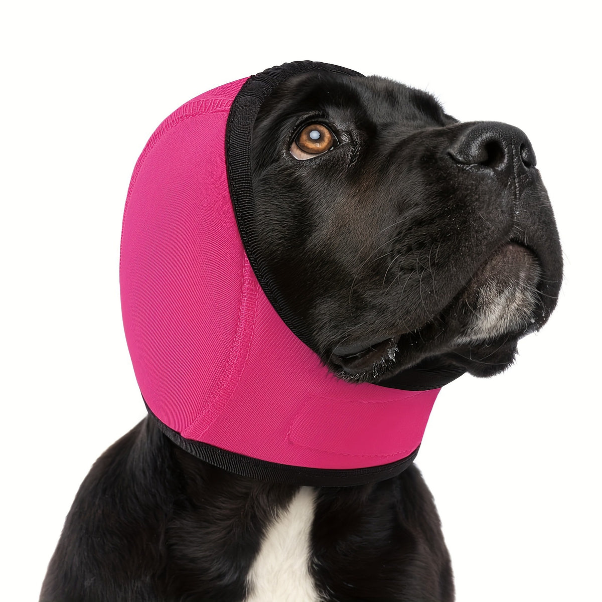 Calming Dog Ear Wrap for Anxiety & Thunder
