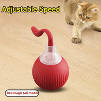 Smart Interactive Ball for Cats & Dogs (Rechargeable)