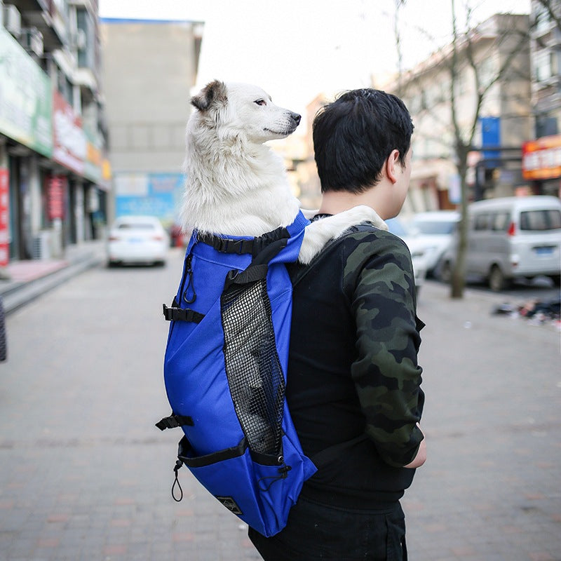 Pet Carrier Backpack – Double-Shoulder Travel Bag