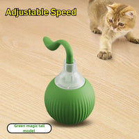 Smart Interactive Ball for Cats & Dogs (Rechargeable)